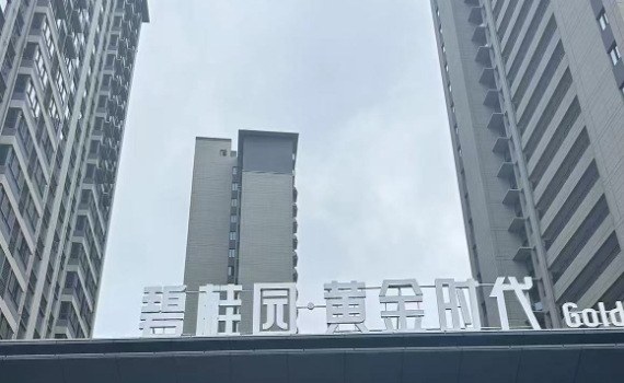 碧桂（guì）園黃金（jīn）時代（dài）陽台連廊護（hù）欄百葉窗柵（shān）欄樓梯扶（fú）手案例
